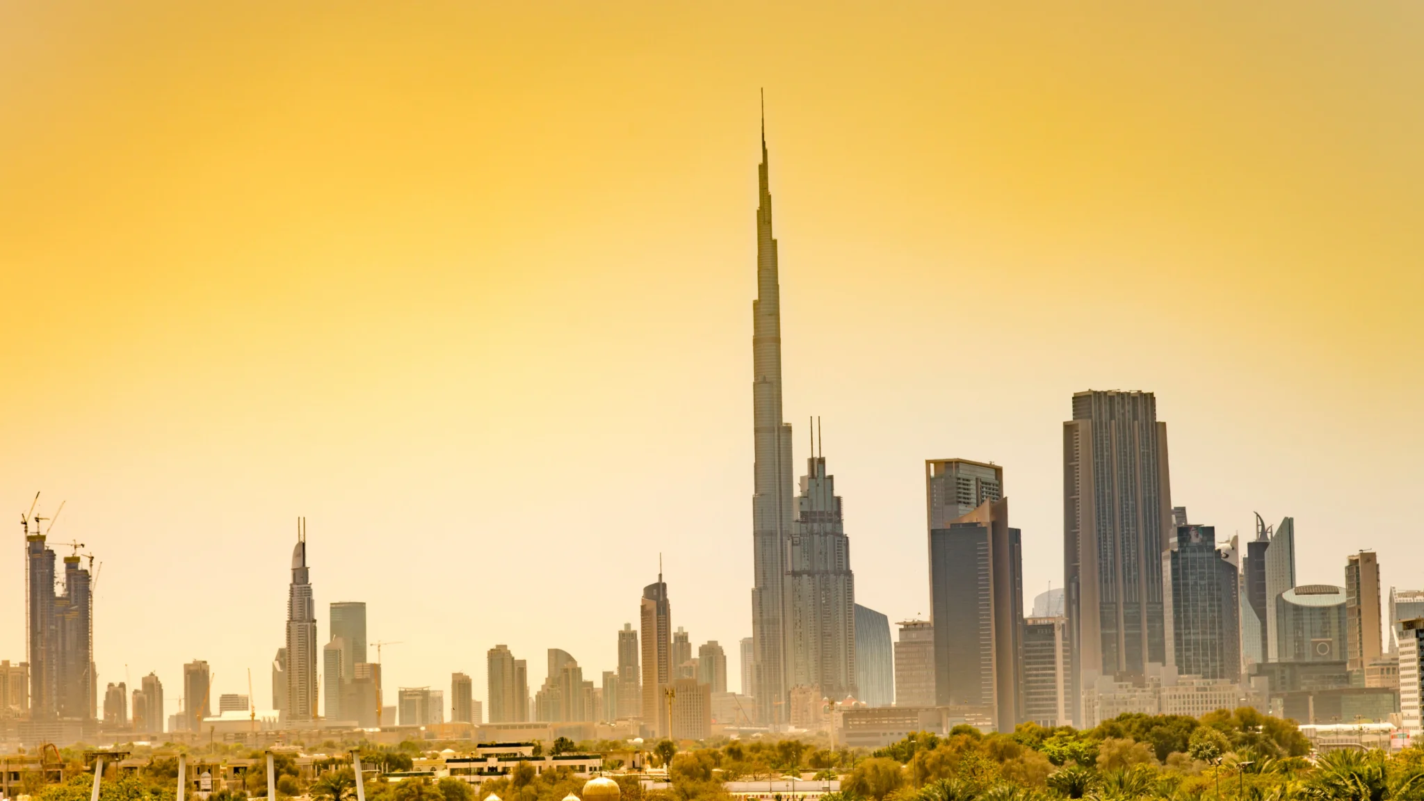 Private venture capital funds in Dubai